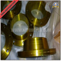 Wn Raised Face Flange (YZF-F13)